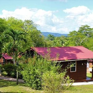 Standard Bungalow