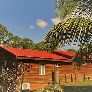 Deluxe Bungalow